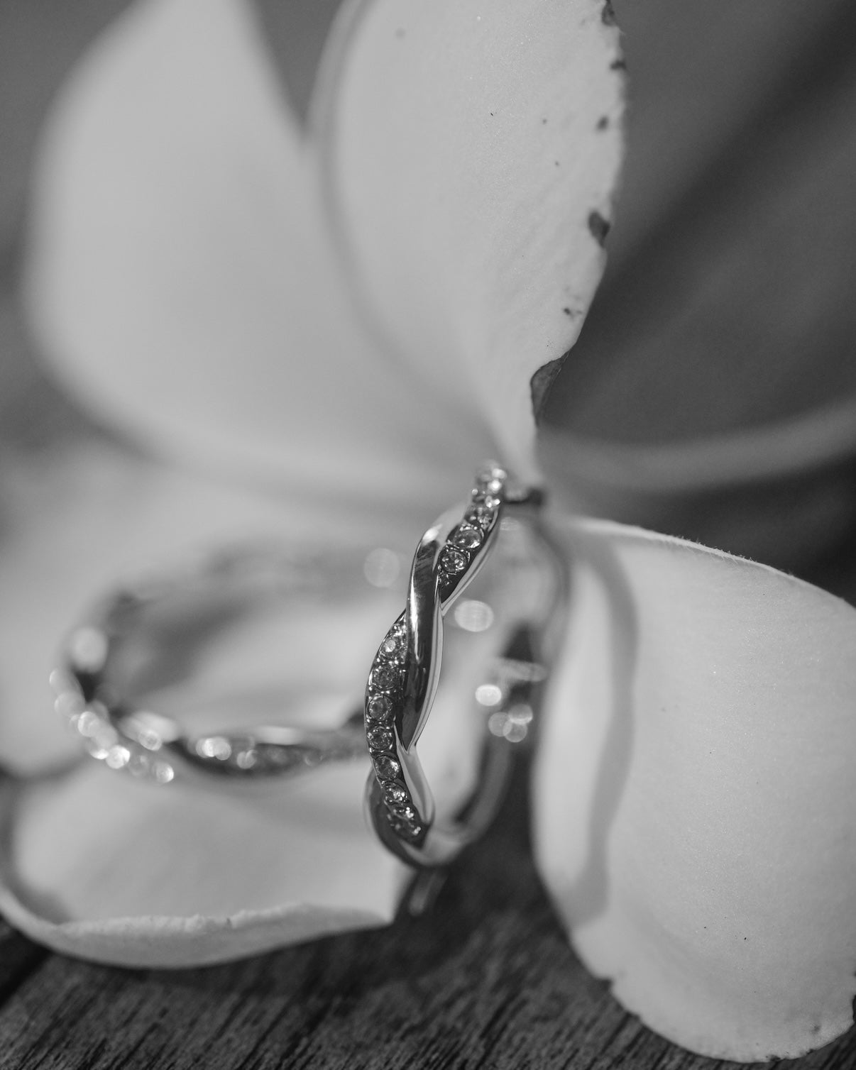 Shine Through Every Peak — Con Taurus Earrings: Timeless “Good Enough” earrings