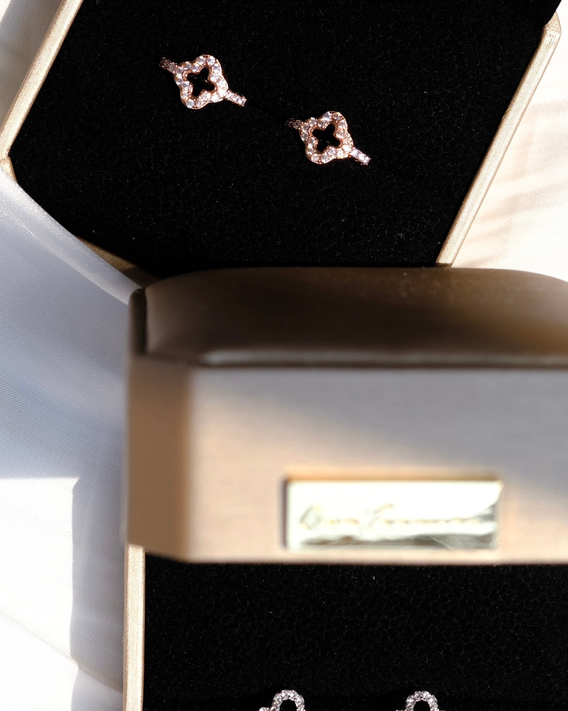 Token of Luck- two styles Rosegold and Platinum
