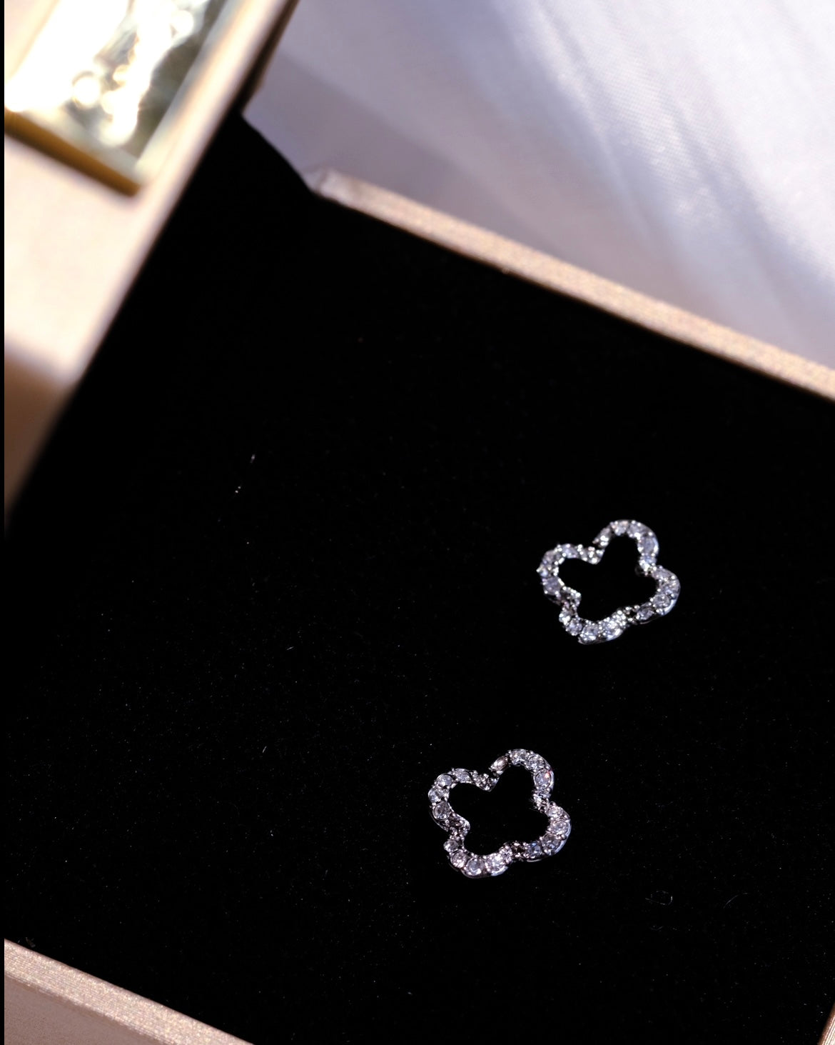 Token of Luck- two styles Rosegold and Platinum