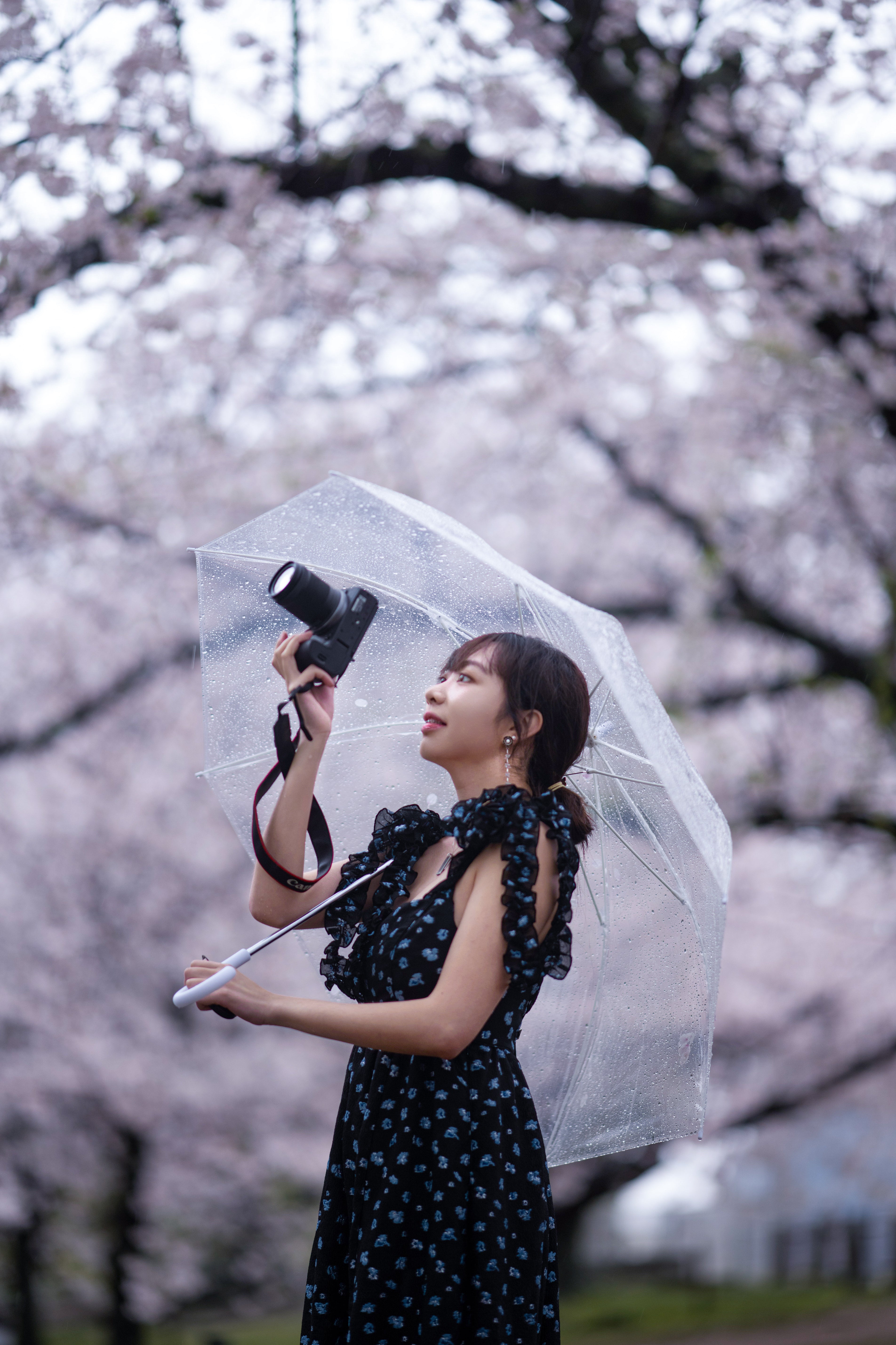 the White Plum - Silver Pearl earrings