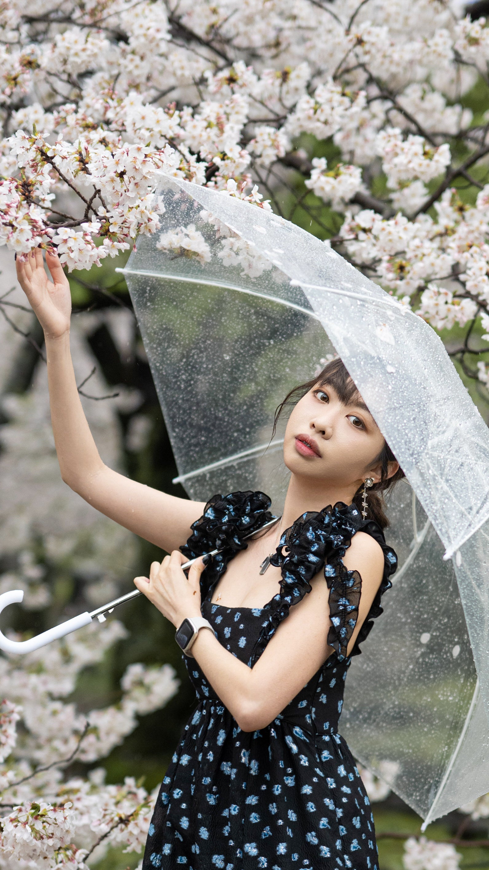 the White Plum - Silver Pearl earrings