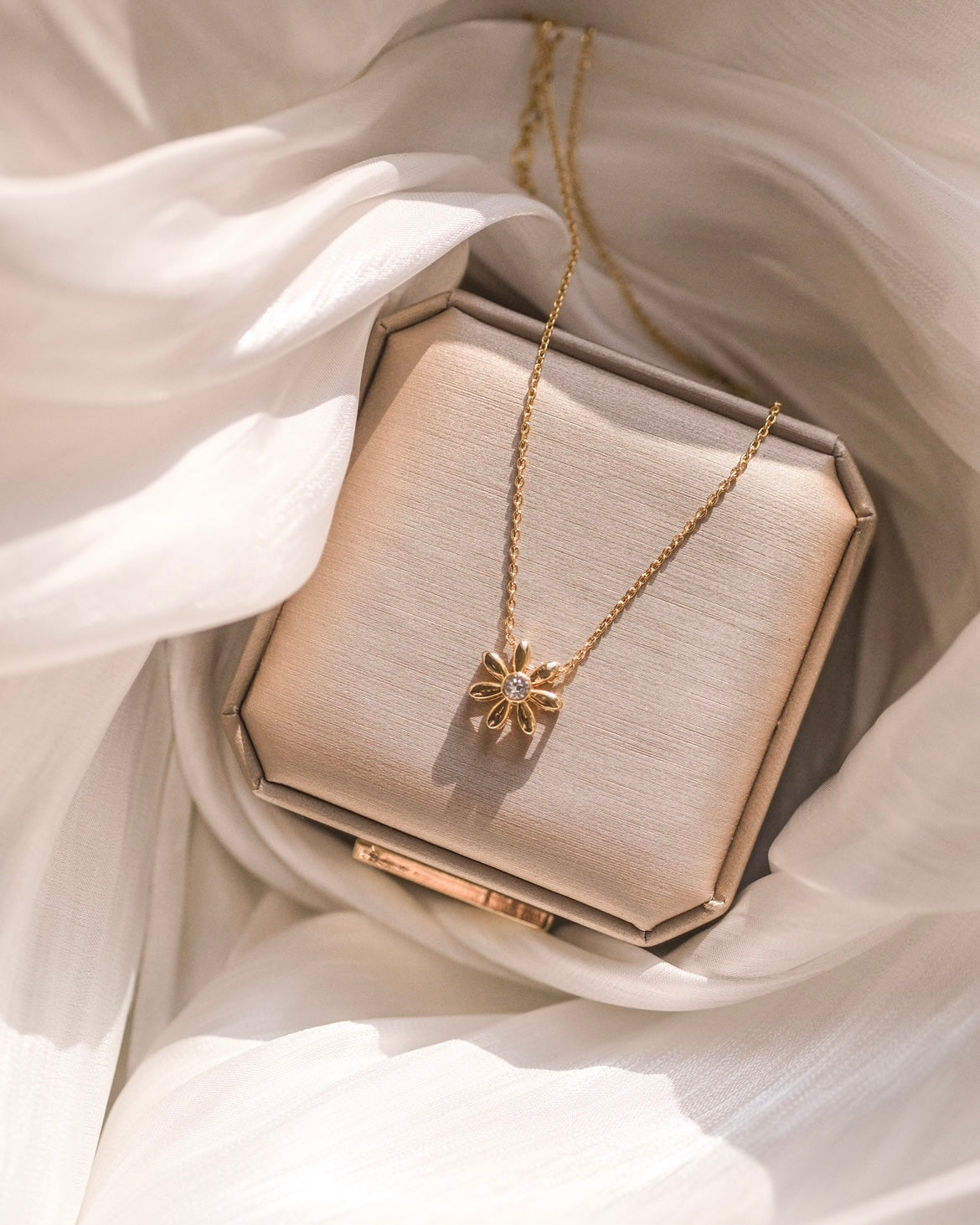 the Little Daisy: The flower stands for 