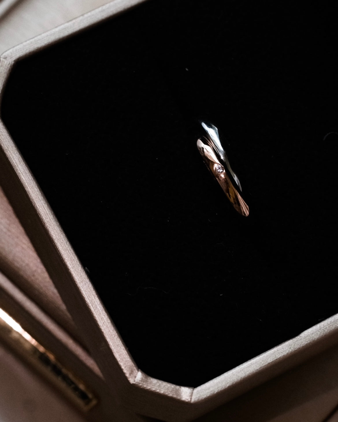 Rendezvous | Double Rings entwined - Platinum & Rose Gold