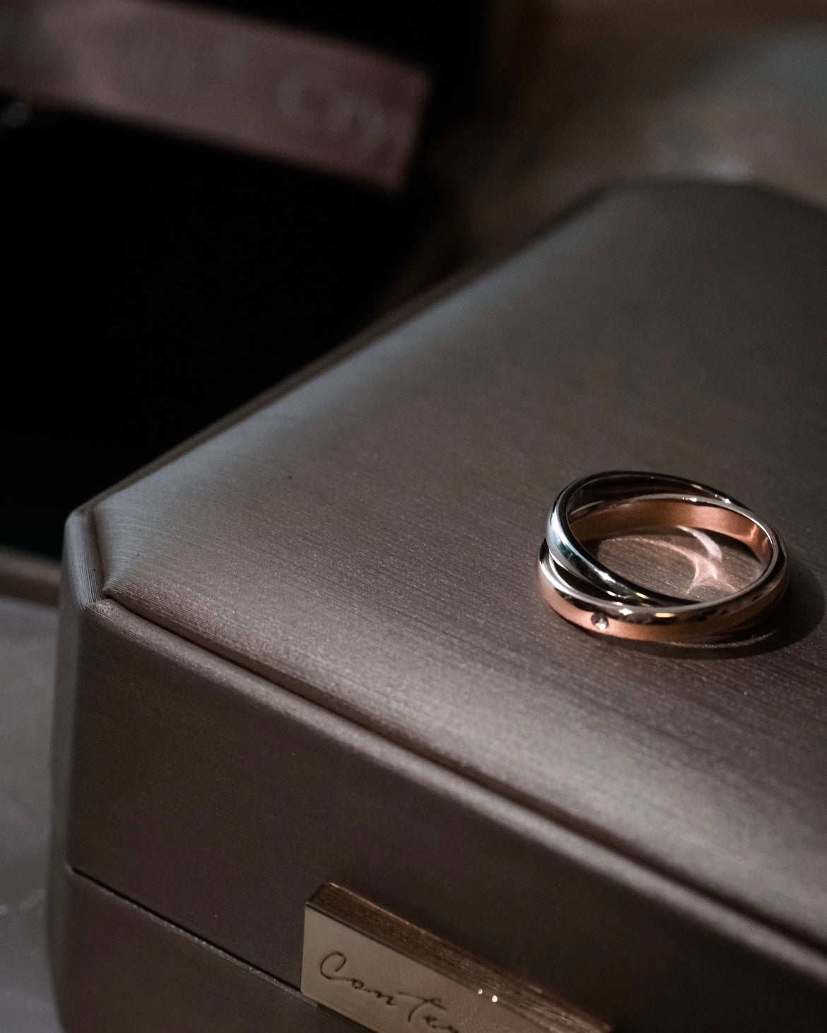 Rendezvous | Double Rings entwined - Platinum & Rose Gold