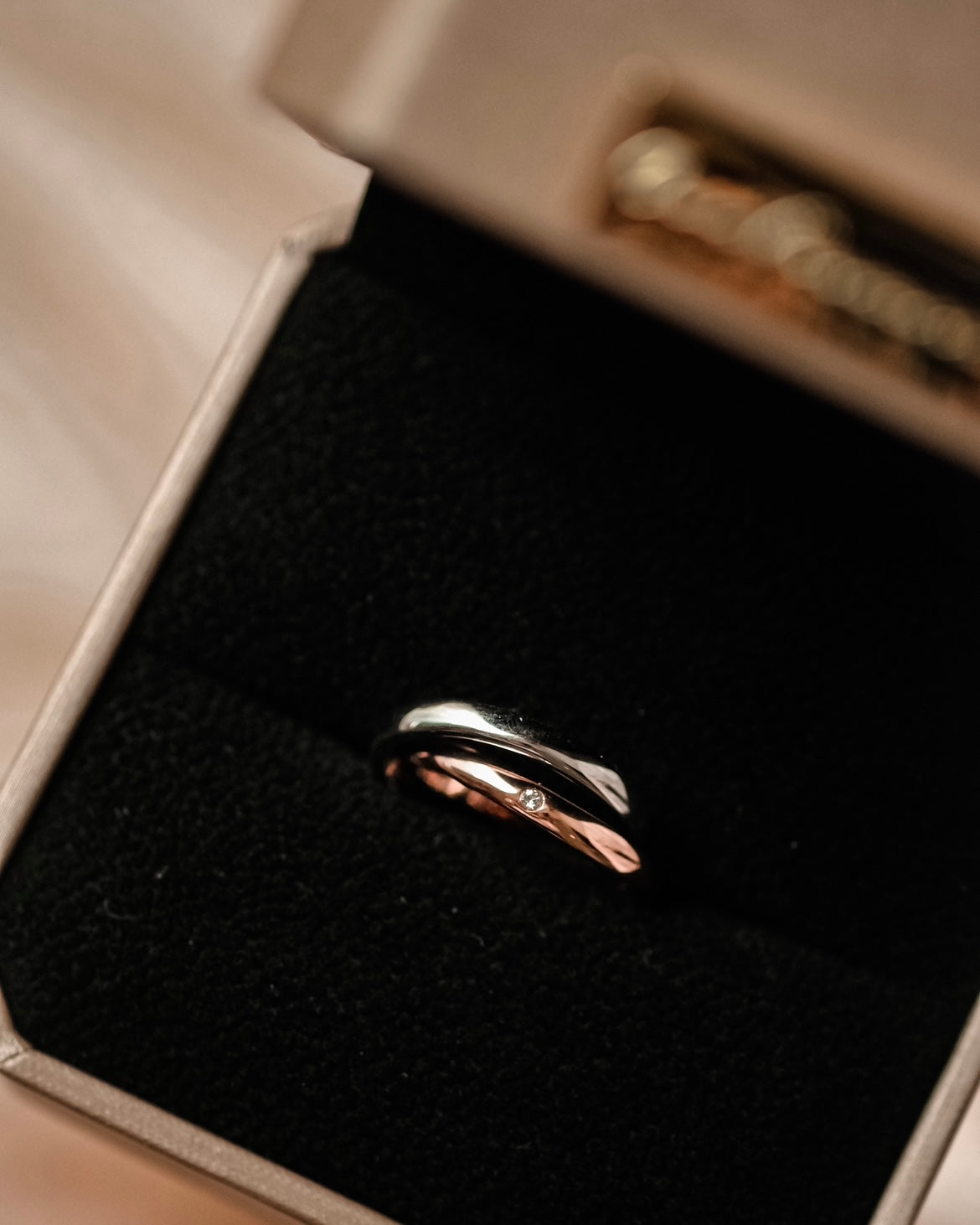 Rendezvous | Double Rings entwined - Platinum & Rose Gold